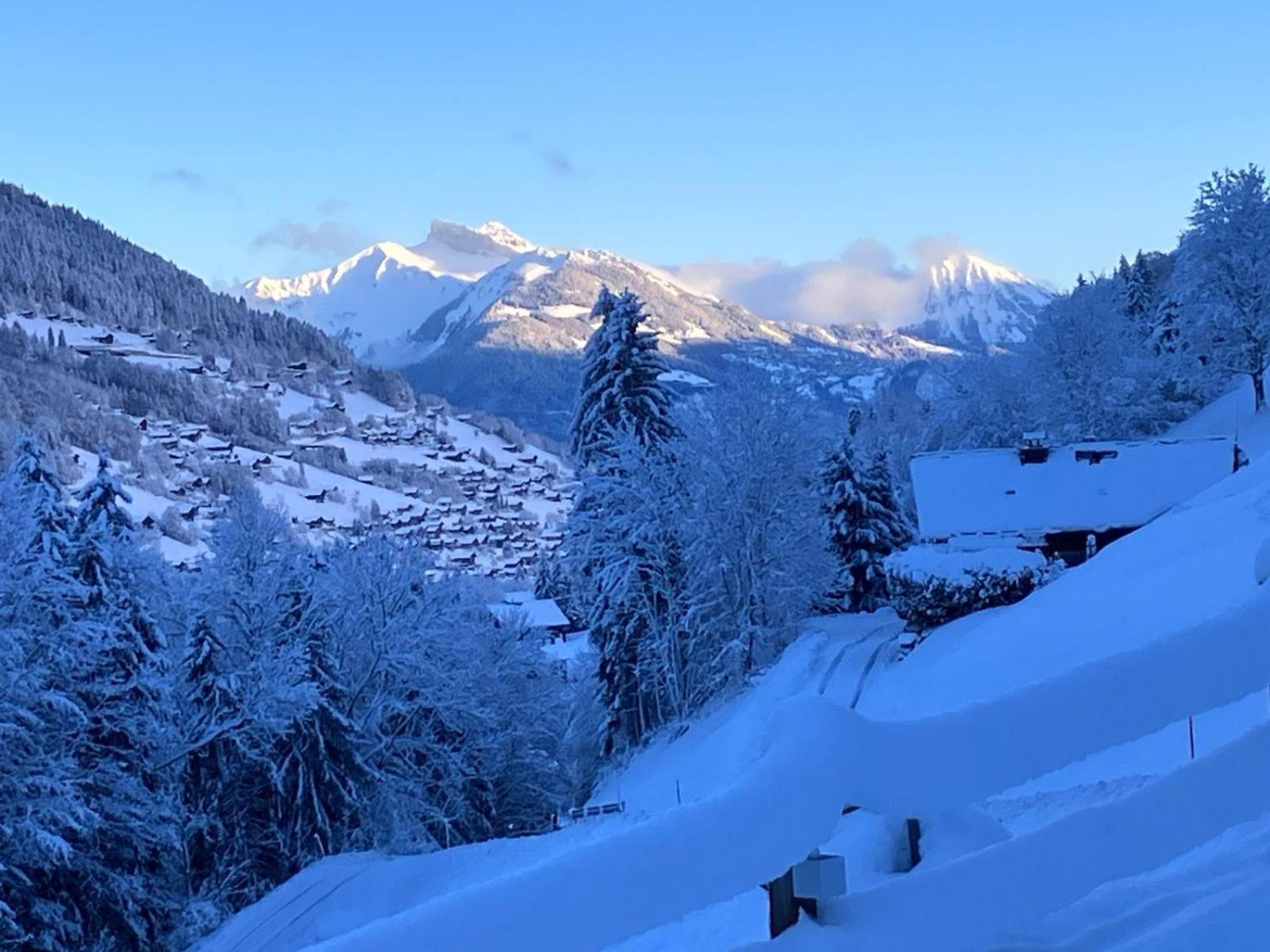 Studio Cosy Escape Val dʼIlliez Exterior foto