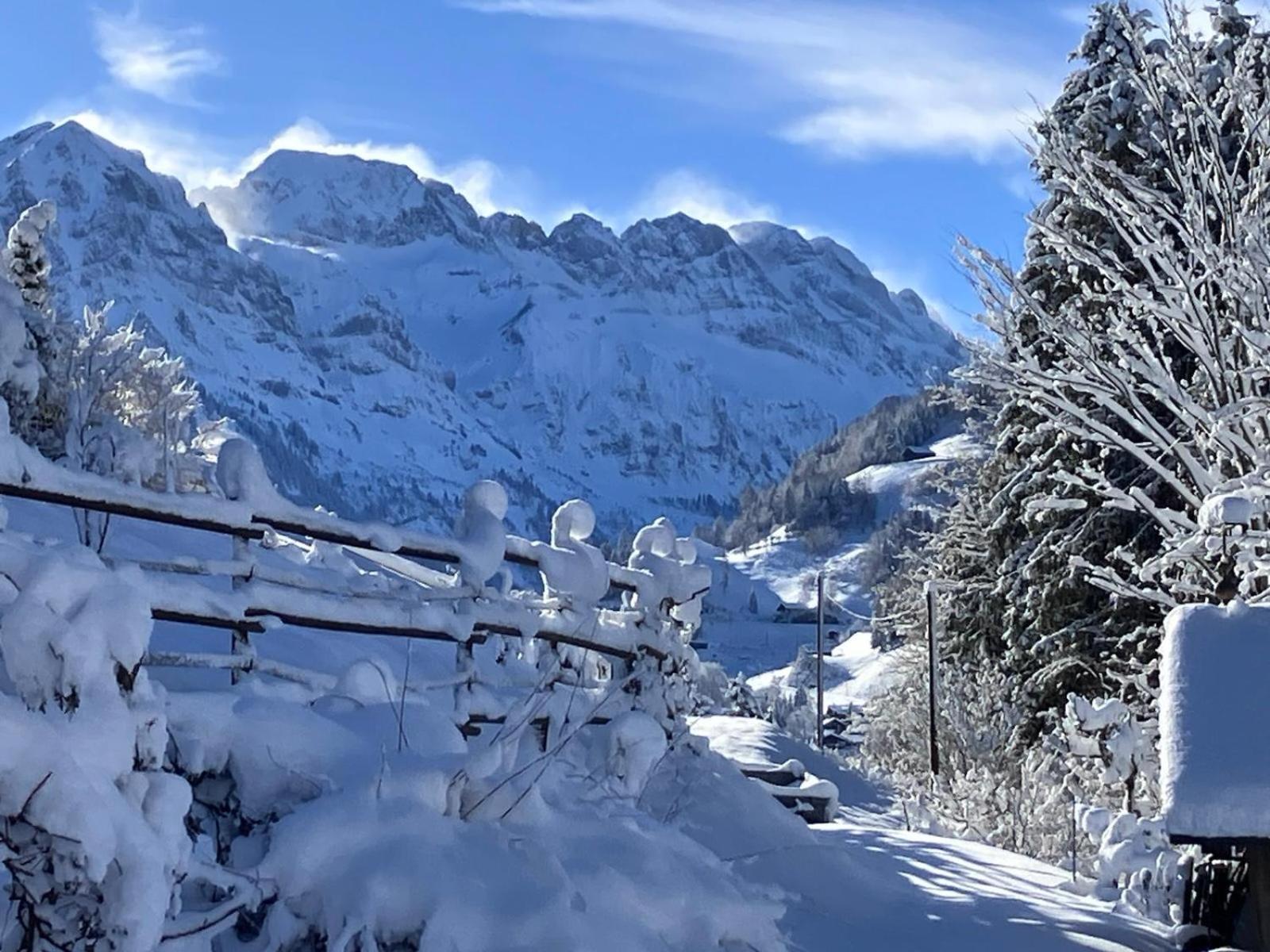 Studio Cosy Escape Val dʼIlliez Exterior foto